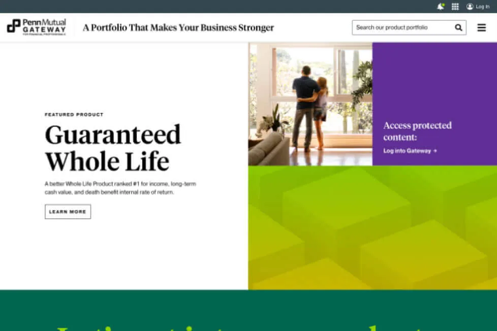 A screenshot of a desktop website homepage, life insurance